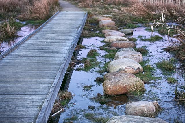 Elselskaber Viborg